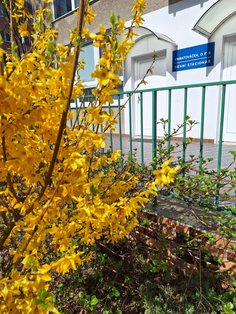 Naše fotovzpomínky