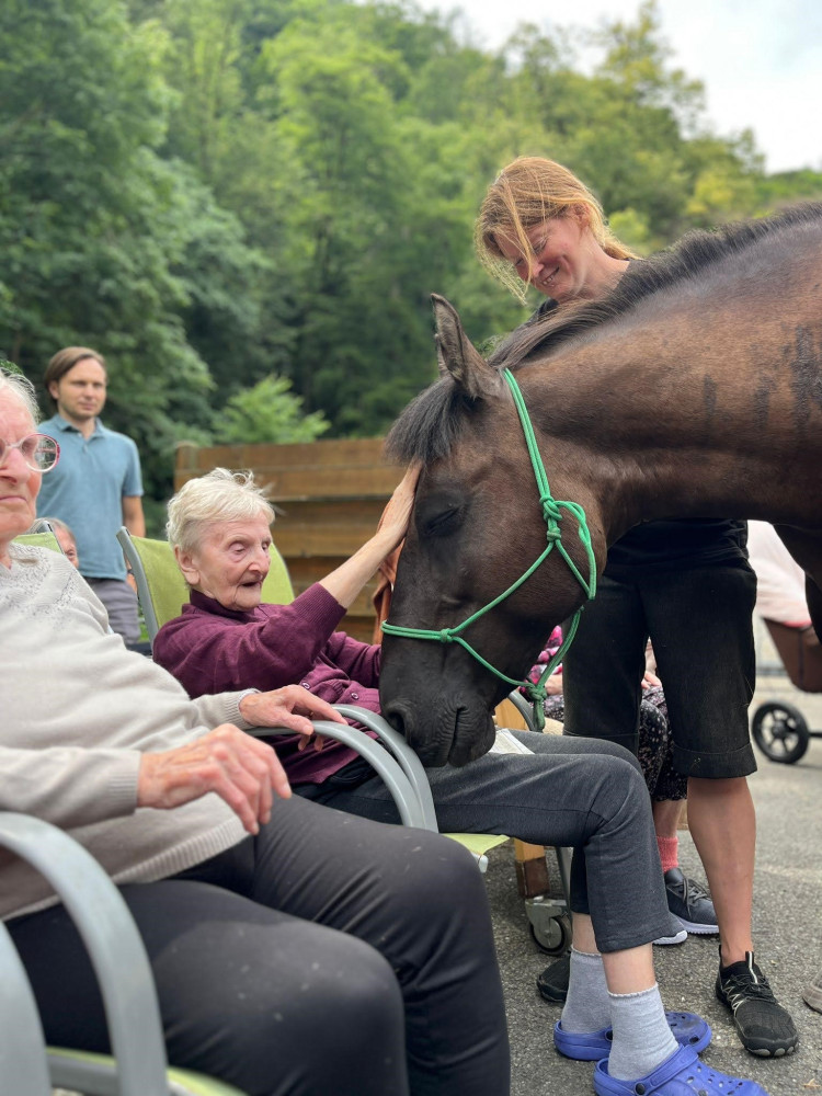 V květnu k nám přijedou terapeutičtí koníci!